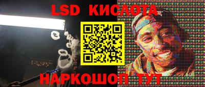 СК Шахты