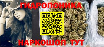 стаф Шелехов