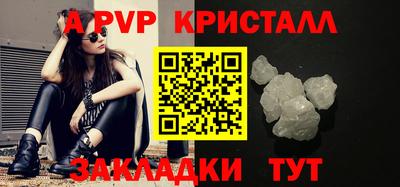 стаф Шелехов