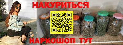 стаф Шелехов
