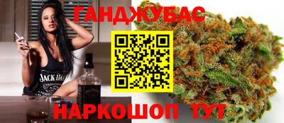 стаф Шелехов