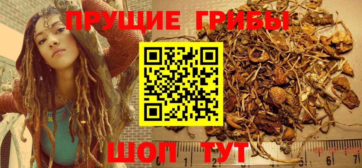 Галлюциногенные грибы GOLDEN TEACHER Благодарный