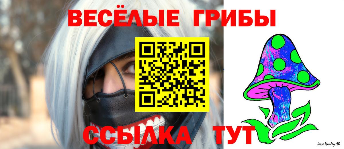 купить  сайты  Галлюциногенные грибы Magic Shrooms  Псилоцибиновые грибы GOLDEN TEACHER  Вход с VPN  Благодарный 